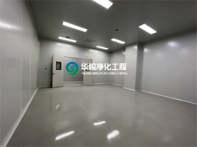 潔凈實驗室通風櫥、生物安全柜配套凈化怎么設計？排風需要過濾嗎？